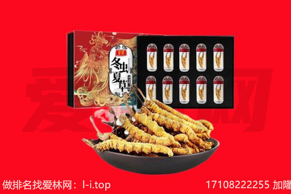 喜德县回收虫草.jpg